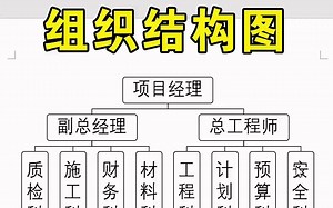 Word制作组织结构图