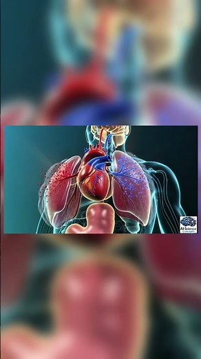 Human Body Explained in 3D | Heart, Lungs & Digestive System Animation
