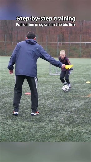 Stepover and step-by-step training