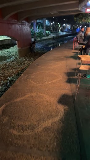Explore the Beauty of San Antonio's River Walk