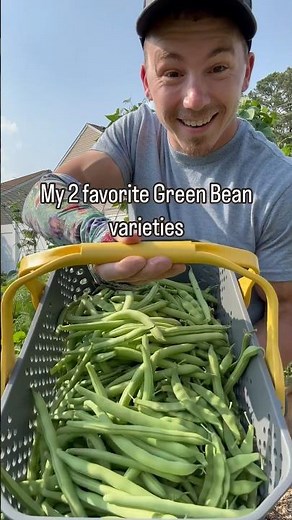 The 2 BEST Green Bean Varieties