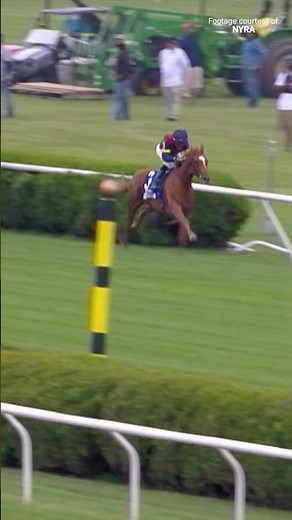 Look at her go! KENSINGTON LANE Just Brilliant in G1 Belmont Oaks!