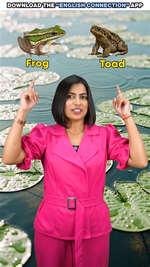 English Connection on Instagram: "Frog vs Toad 🐸 Difference Learn Confusing Words in English Download English Connection app from the Google Play Store. #englishconnection #kanchankeshari #spokenenglish #practiceenglish #confusingwords"