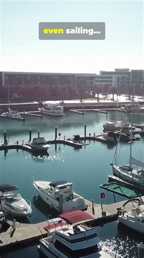 Rookie Marina Mistake (Always Check the Forecast)