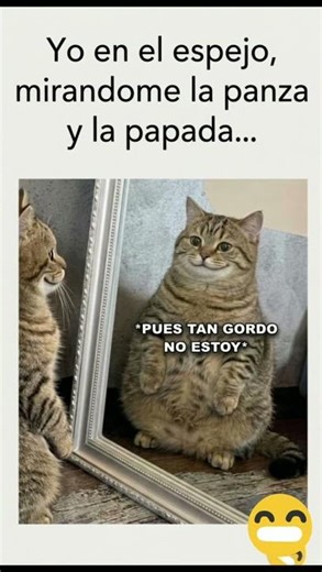 La mentira piadosa que todos nos decimos jajaja