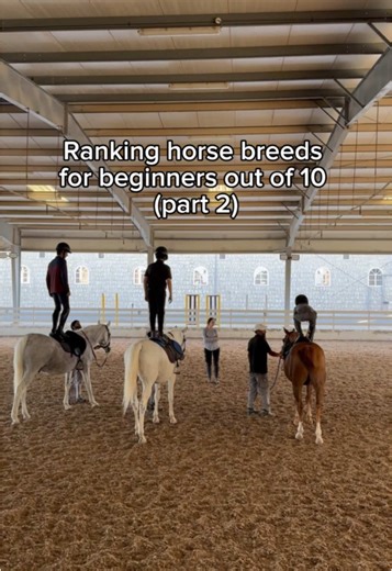 Beginner-Friendly Horse Riding Tips for First-Time Riders