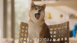 【ジョンだじょん！ WEBでも会えますよ】 こんにちは。ジョンがわが家の魅力を語る新しいWEB動画ができました。家族が思い思いに過ごす大空間リビング「ファミリー スイート」の家、積水ハウスの「イズ・シリーズ」です。 前回を見逃した方もこちらからどうぞ♪ http://www.sekisuihouse.com/products/steel2/dlp/is/ | 積水ハウス