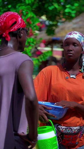 Exploring Sentiments in Senegal's Digital Culture