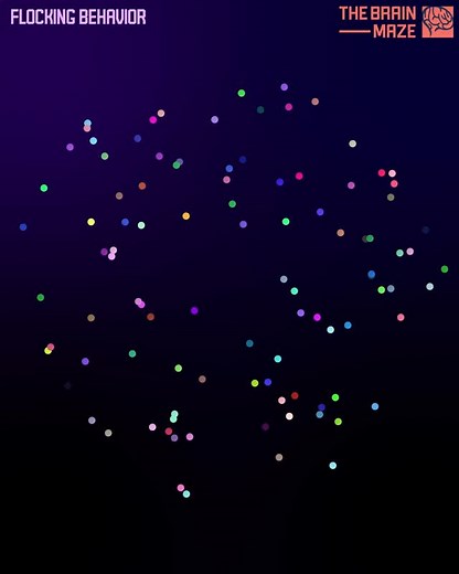TheBrainMaze on Instagram: "The Rule of Nature This is a simulation of flocking behavior, where hundreds of agents move in synchronized patterns, just like birds in flight. This animation is inspired by real-world phenomena found in nature, from starling murmurations to swarming insects and schools of fish. Flocking behavior emerges from simple local rules — separation, alignment, and cohesion — without a central leader. These principles, when combined, create breathtaking collective motion that