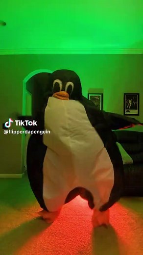 Madagascar Penguins Dance: A Fun Journey