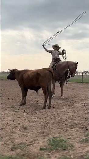 Practice. Practice. Practice. #ranchlife #ranchroping