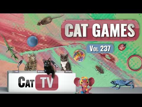 CAT Games | Ultimate Cat TV Compilation Vol 237 | 8 HOURS 🐝🐞🦋🦎🦜🐜🐭🧵