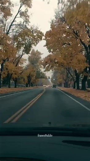 Jhon Hans Rodriguez on TikTok