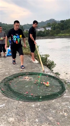 A Son’s One Mistake Filled the Net with Fish! 😲🐟#shorts