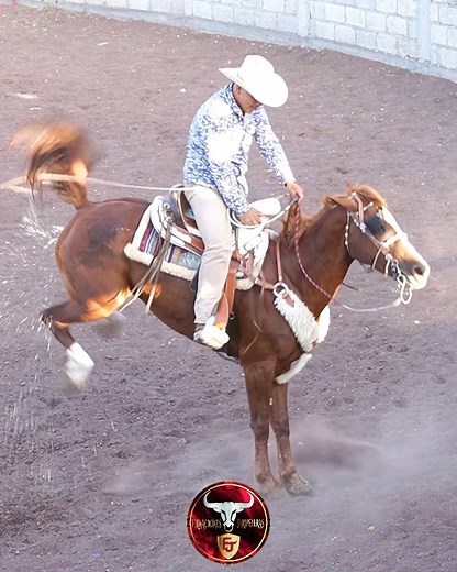 3.5M views · 10K reactions | Salio reparador el cuaco, se prendio el cerro 藍藍 #horses #toro #jaripeo #caballos #rodeo #horseriding | Filmaciones Jaripeyeras | Facebook
