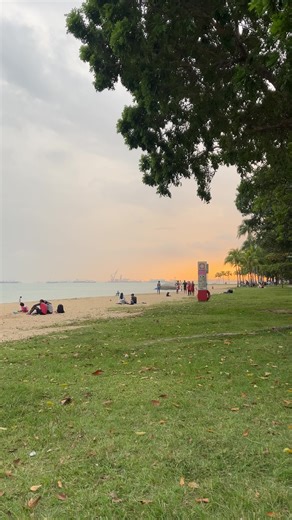 Back here after 5 weeks. Due to severe allergy, I wasn’t able to walk here like I usually do every morning.