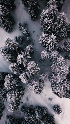 Born for motion, built for perfect vision that moves with you. | Carrera