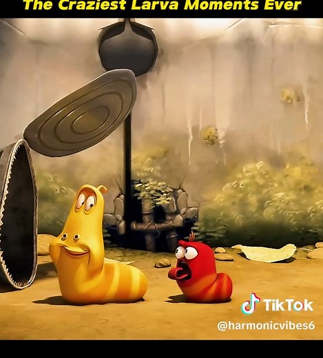 Larva Cartoon Funny Moments Compilation