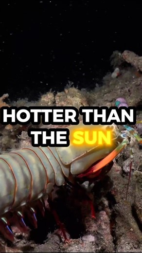 Louder Than a Gunshot 🔫 #shorts