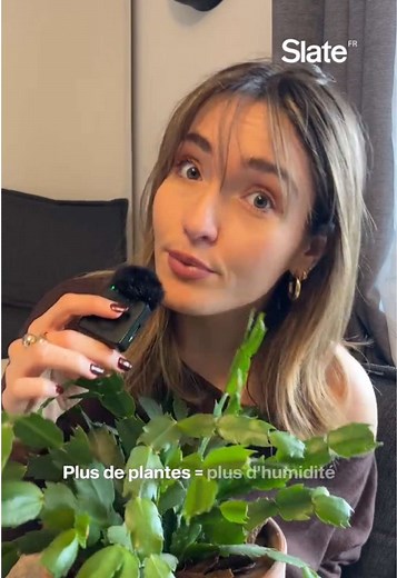 Transformation du désert du Taklamakan en puits de carbone
