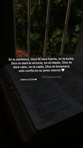 #ConfiaenDios #FeenDios #PromesasdeDios #PalabradeDios #jovenescristianos