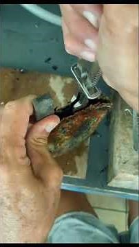 Pearl Extraction REVEALED: How Nature's Masterpiece is Born!