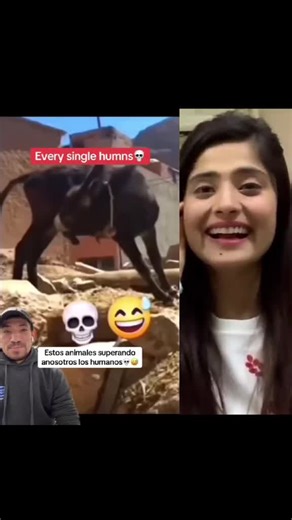 Funny videos pranks 😄🤣#funnyvideos #foryoupage #funnytiktok #laughingvideo #funnyvideoreaction2