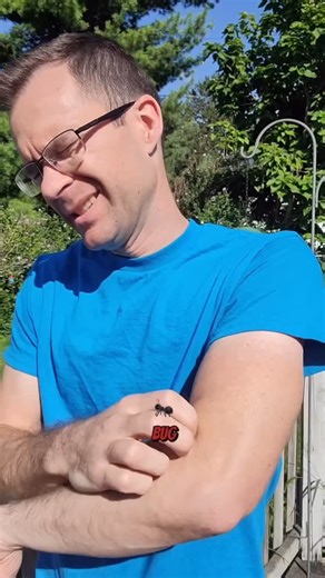 Meet the SKEETER WEEPER® — The Smarter Way to Take Back Your Yard ...