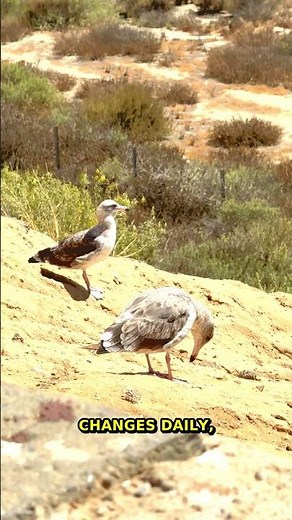 5 Simple Ways To Live A Sustainable Lifestyle | Sustainable Living ...