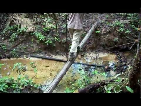 Tears of the Amazon, EP05, #03, 아마존의 눈물, 5회 20100205