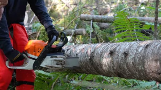 CCE’s Game of Logging helps communities step up storm response | Cornell Chronicle