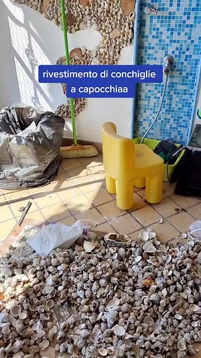 Rivestimento di conchiglie | Mammamia