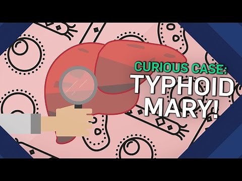 The Curious Case Of Typhoid Mary | Earth Science