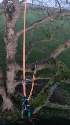 Rope Runner Pro first impressions