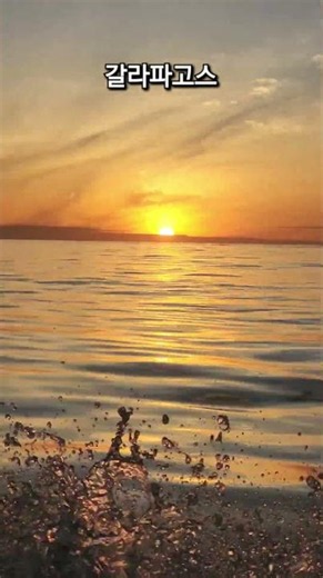 [갈라파고스] 잊을 수 없는 새벽 바다, 일출, Sunrise