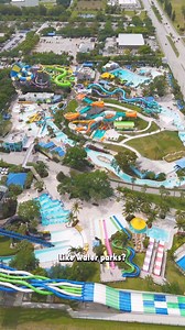 3.8K views · 36 reactions | Try these Fun Thrills in The Palm Beaches...