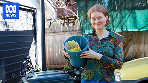 Does a plastic bag ban cause a spike in bin liner sales?