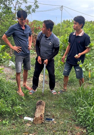 Khoang dừng lại coi #danphong #haihuoc #troll #xuhuongtiktok | trolls