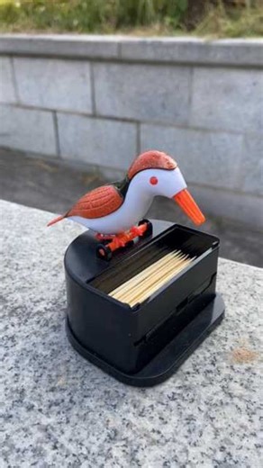 9.6K views · 9.5K reactions | Small bird, big personality! ✨ The...