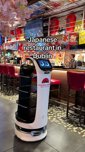 Experience the Best Japanese Food at Fujiyama in Dundrum