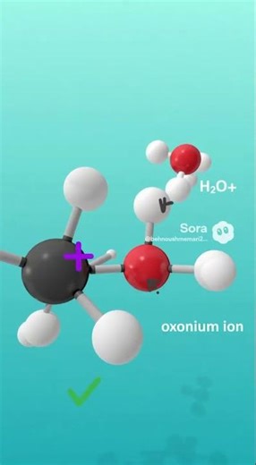 Let’s hydrate this Alkene