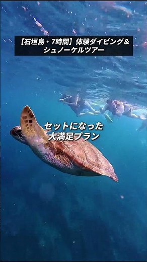 その日“一番綺麗な海”へ！石垣島ダイビング