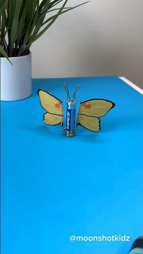 DIY “Yellow butterfly” homopolar motor. Easy and fun electronics project for beginners. #science