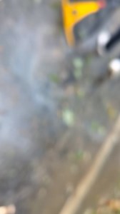 17K views · 103 reactions | clearing roads | Hendo.today | Facebook