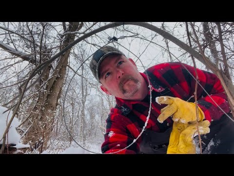 Setting Snares on Coyote Trails