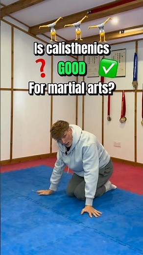 Is CALISTHENICS good for martial arts?