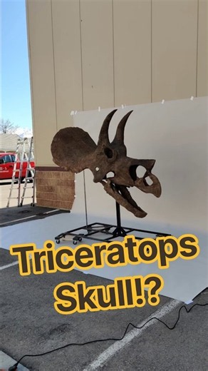 My most insane fossil restoration yet #paleontology #fossils