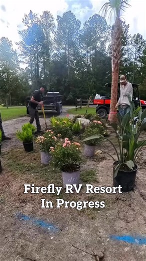 Progress is blooming at our Firefly RV Resort project! 🌳🚜🐸 We’re hard at work getting everything ready to welcome their guests — and it’s coming together nicely. 👏 Stay tuned… the final reveal is just around the corner! #SkyFrogLandscape #RVParkTransformation #FloridaLandscapers #GainesvilleArea #Progress | SkyFrog Landscape