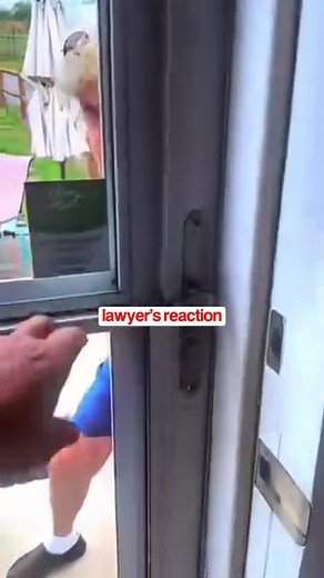 Who is Responsible here?! 🧐🐝 Follow For More! ✅ @attorneydeanlevy #law #lawyer #bee #insurance #fault #legal #hurt | Dean Levy Injury Law PLLC