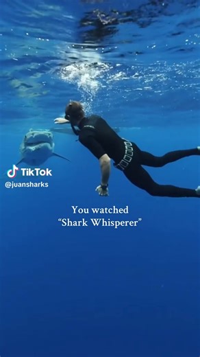 Bryce Hill on TikTok